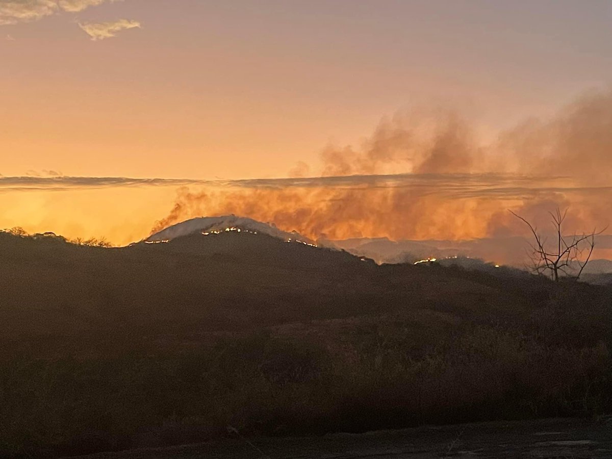 🆘 | Se ha salido de control el incendio forestal en la Agencia Municipal de #SantiagoChilixtlahuaca, Huajuapan de León #Oaxaca. 🔺Ya alcanzó unas 200 hectáreas y algunos combatientes están desaparecidos y reportan varios heridos. #PorFavor, quien guste apoyar se necesita: -