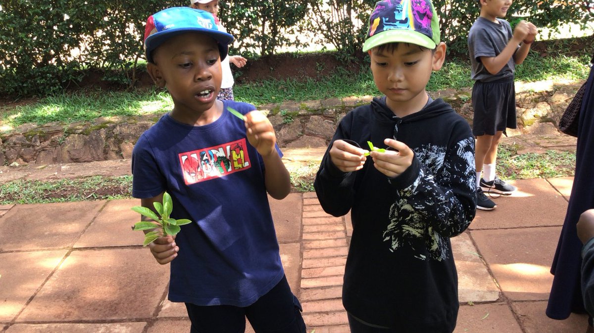 ISofUganda's tweet photo. 🌿🔍 #ISUGrade1 students explored our #ISUCampus, discovering the wonders of plants and their medicinal properties firsthand! 🌱#LearningOutdoors #IBPYP #ISULearns #ISUConnects #Contributes
Learn more: https://t.co/iaSoSbH5Ck 📚 https://t.co/Gpeo6PnbqR