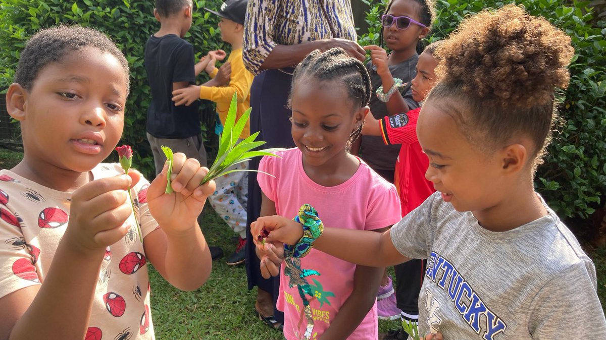 🌿🔍 #ISUGrade1 students explored our #ISUCampus, discovering the wonders of plants and their medicinal properties firsthand! 🌱#LearningOutdoors #IBPYP #ISULearns #ISUConnects #Contributes Learn more: isu.ac.ug 📚