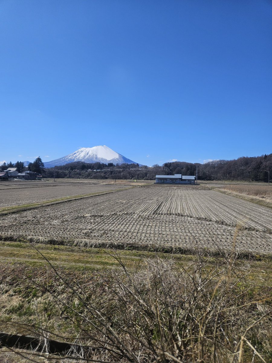 t_udi_inc's tweet photo. 岩手山
二高生これ登ってんの冷静に考えたらヤバすぎる https://t.co/pPxf1exXc6