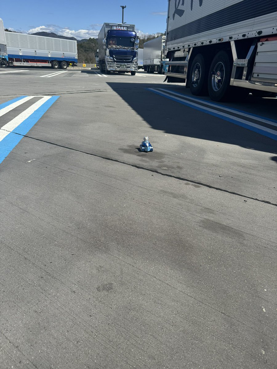 kanjikojima007's tweet image. 今滋賀県に向かっているー😆👍

 #rxnemesis #rxnjapan #rxn #sofubilottery #sofubi #sofvi #ソフビ 

@nemesis_rx