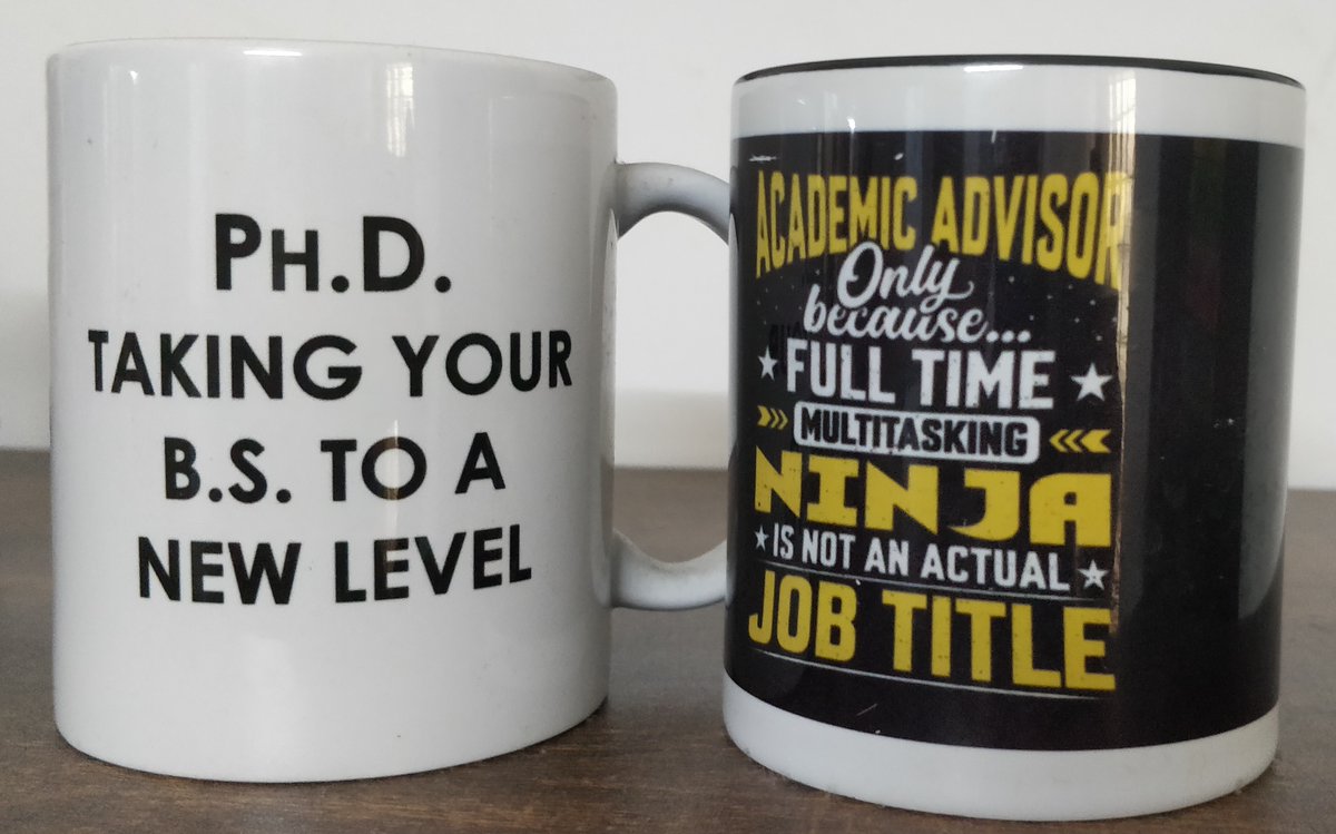 Life comes a full circle, and some people make the journey more fun &amp; gratifying. The left mug is a gift from my PhD advisor Prof. Levine <a href="/RiceUniversity/">Rice University</a> when I graduated <a href="/Rice_BIOE/">Rice University Bioengineering</a>, and the right one is a gift from my 1st PhD student <a href="/kishorehari139/">Kishore Hari</a> after he graduated <a href="/BE_IISc/">BE, IISc</a>.