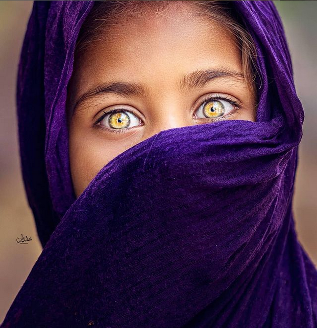 ritsakaris's tweet photo. 📷adeelchishti
#picturepakistan https://t.co/BNsUj4O0OW