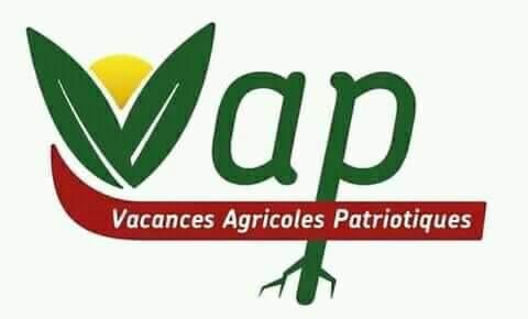 🇸🇳⭐⭐️ de tout ❤️avec 🇵🇸 tweet media