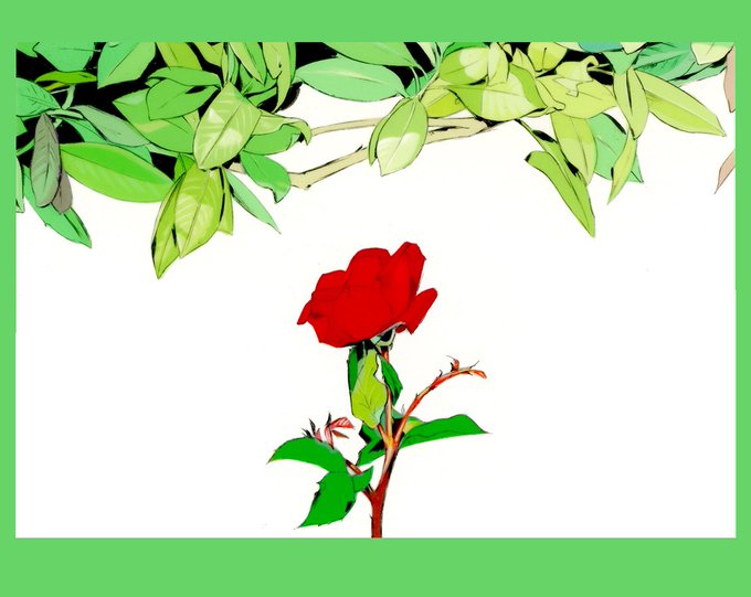 「红玫瑰 シンプルな背景」のTwitter画像/イラスト(新着)｜3ページ目
