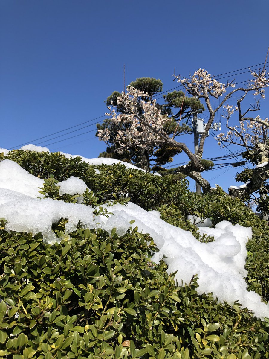 tomitomo13's tweet photo. 昨日の雪から一転して晴れの
とみやどです。
最後の雪であって欲しいなぁ。 https://t.co/SN5UUadzgE