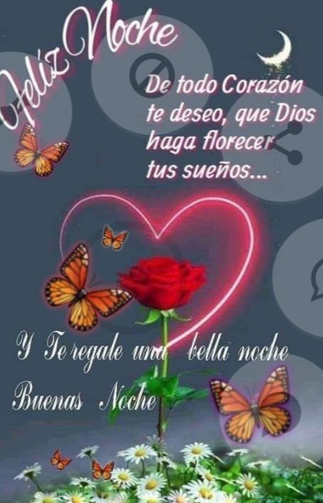 Lety_Castro_S's tweet photo. Buenas noches!!🤗🌷💕 https://t.co/kmxgBCGxxT