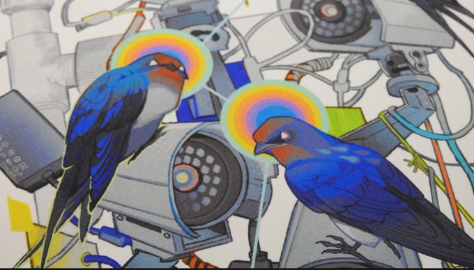 「bird rainbow」 illustration images(Latest)