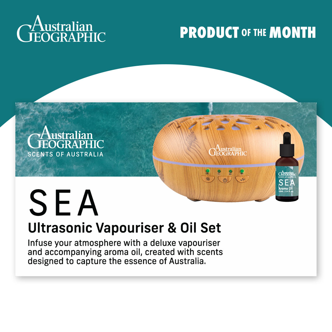 This April, our Australian Geographic Product of the Month is the 'Scents of Australia' Ultrasonic Vapouriser and Oil Set! 🌊🏡 This set is a perfect gift for Mother's Day and a must-have in your home - get yours in-store or online here: bit.ly/43vvun4