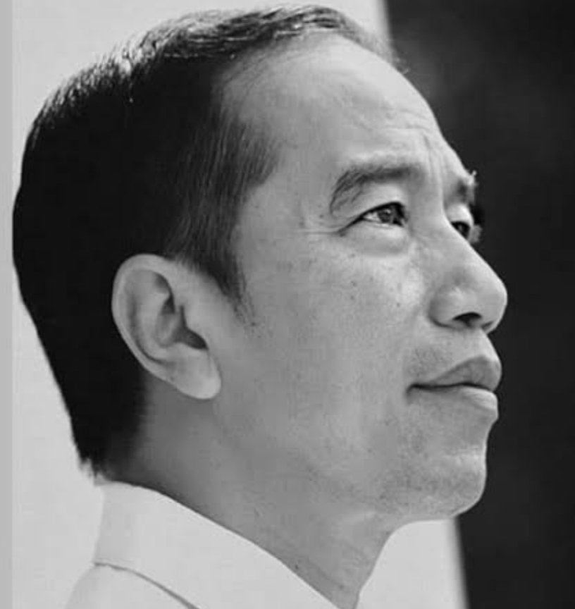 Philosophy Jokowi itu bukan "omon-omon", tapi "Kerja, Kerja, Kerja". Makanya banyak ide yang tadinya dianggap mustahil oleh banyak orang, menjadi kenyataan di tangan Jokowi.