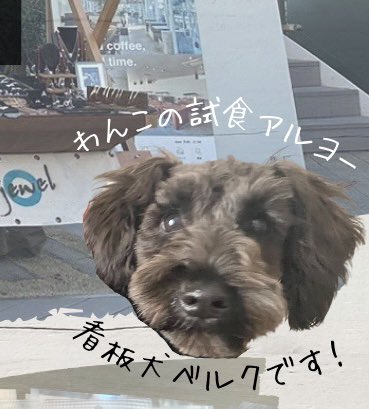 naturarium_jp's tweet photo. 4/6,7ベルクさんとマルシェに参加します✨
ママちゃんがこさえた🫧さらふわ&時短の🌿ドッグソープや健康おやつの販売✨
30ショップ集まる賑やかマルシェ🏕️お近くの愛犬家の皆さま遊びにいらしてくださいねU^ェ^U
#CraftBaseMarket #自由が丘 #トレインチ自由が丘 #駒沢公園 #目黒区 #世田谷区 https://t.co/ibRtNJ4UGf