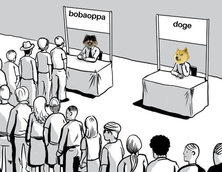 bobaoppa's tweet image. Don’t hate me