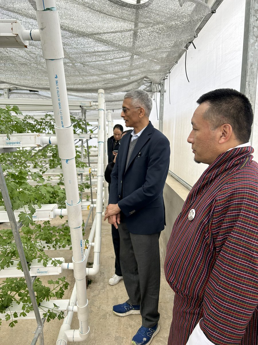 Enlightening visit to the National Organic Centre near Thimphu to see and learn how smart horticulture, including through hydrophonic systems, is being researched. This lab to land approach is being partly supported under the @WorldBank ‘s FSAPP project.