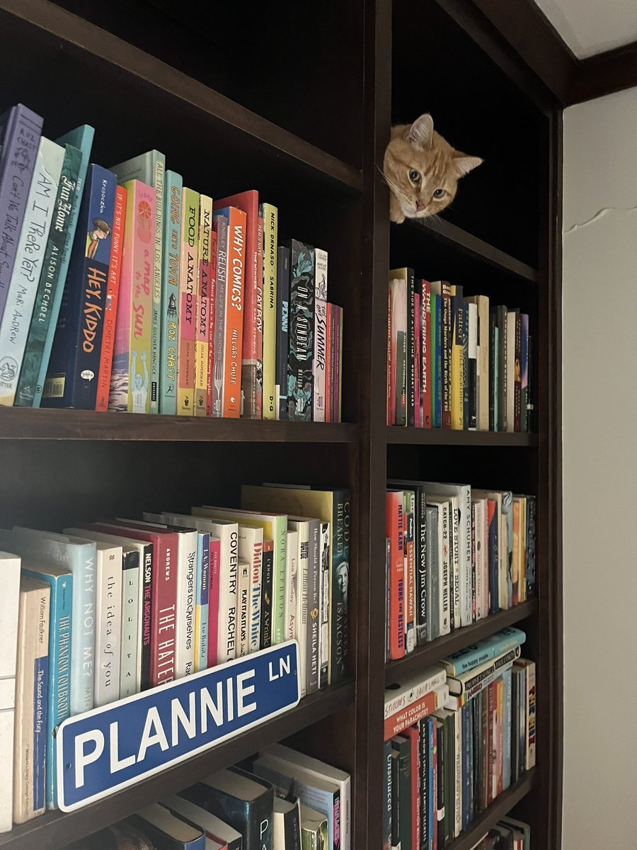 hello,, and welcom to my lil Libary