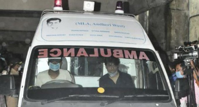 🦋Blues🦋 tweet media