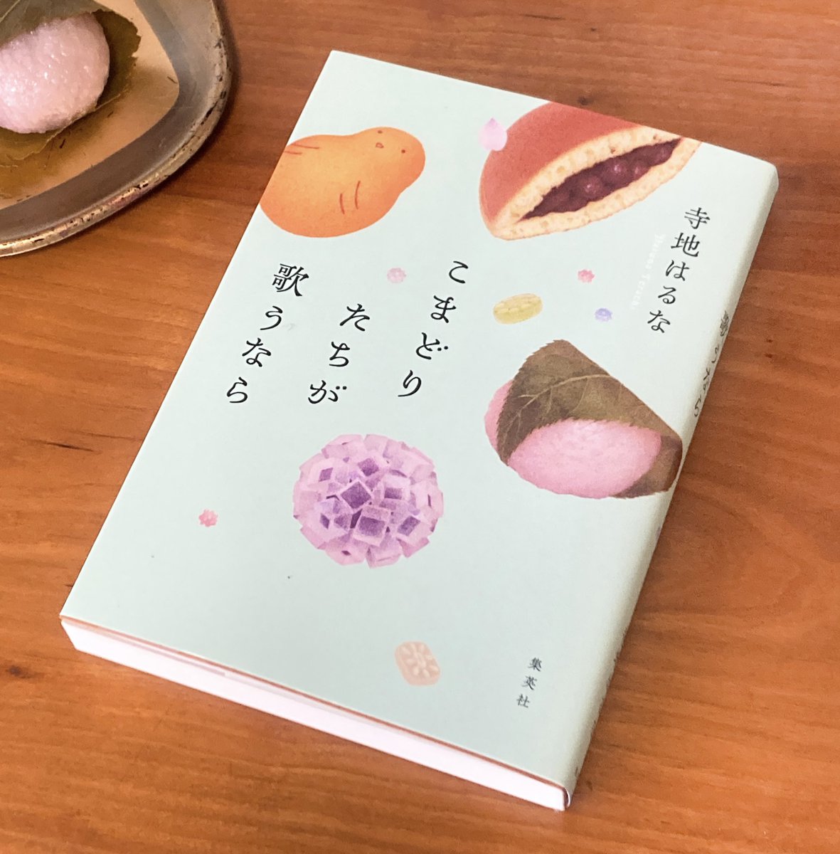 【お仕事】
集英社様より3/26発売
寺地はるなさん(@terachi0109 )著
『こまどりたちが歌うなら』のカバーイラストを担当しました。

人と関わることの喜びとほろ苦さを感じさせてくれます。読書のおともには、劇中に登場のお菓子をぜひ🌸

かわいいデザインはnext door designの岡本歌織さんです。 