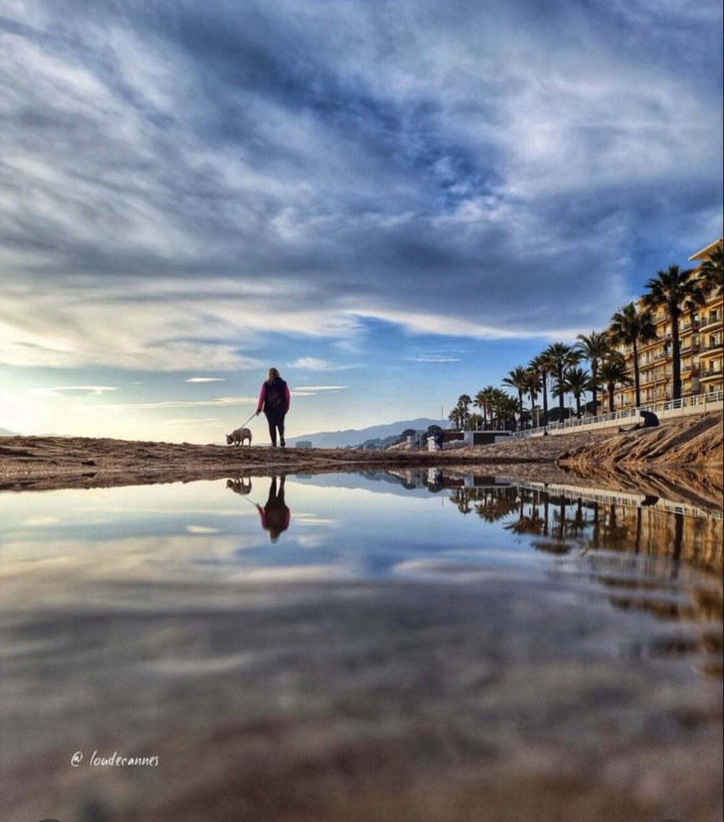 inout-cotedazur tweet media