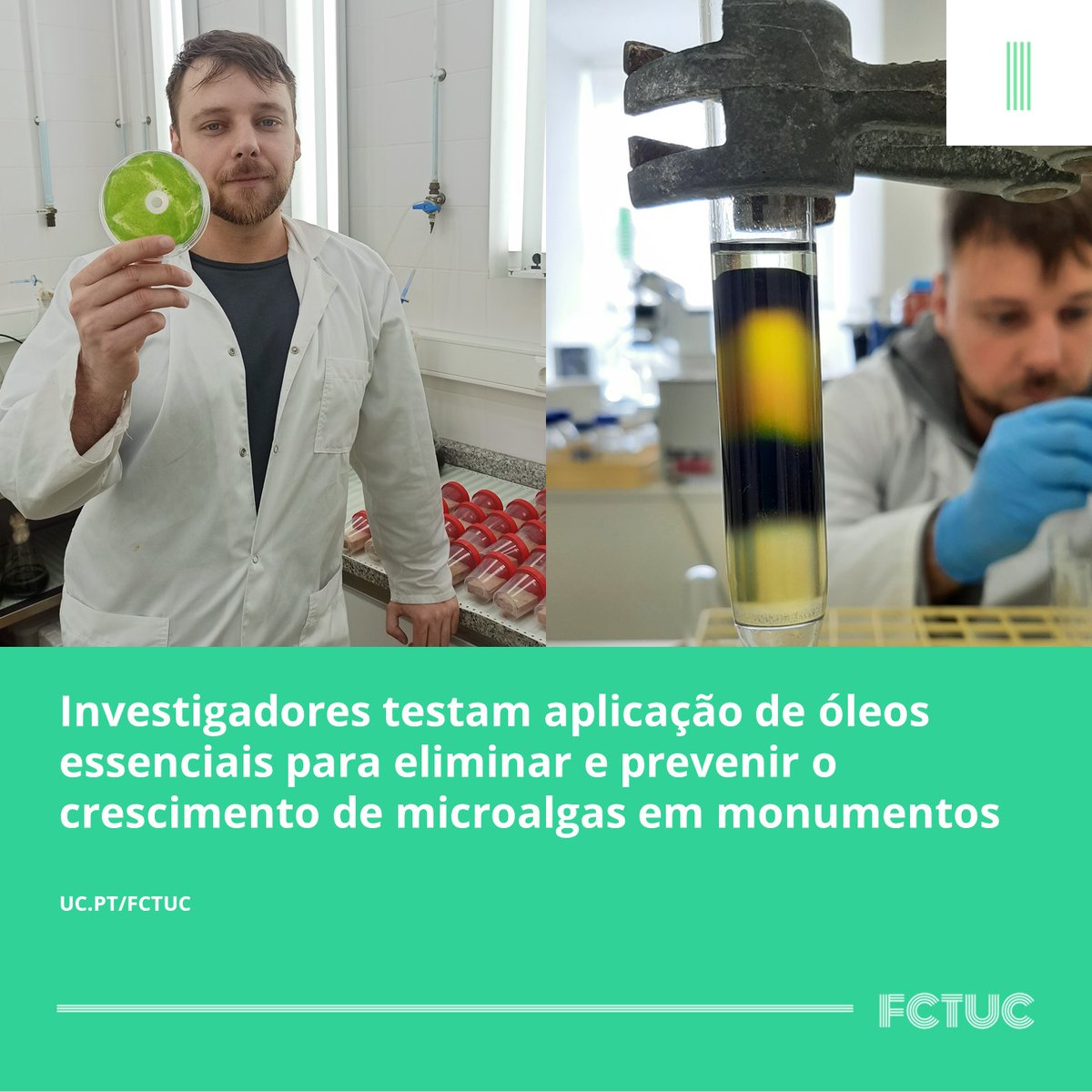 Investigadores testam aplicação de óleos essenciais para eliminar e prevenir o crescimento de microalgas em monumentos. Saiba mais em: uc.pt/fctuc/noticias…