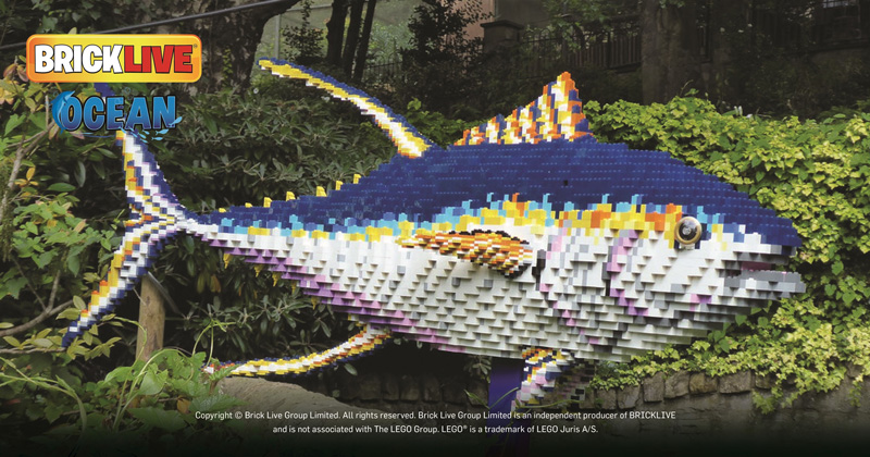 A1RetailMag's tweet photo. Life-sized BRICKLIVE Ocean Trail launches in Stirling. Find out more โก๏ธ https://t.co/EDH7O0kEjz #retail #retailnews #BRICKLIVE #Ocean #Trail #interactive #experience https://t.co/IWloi0GizD