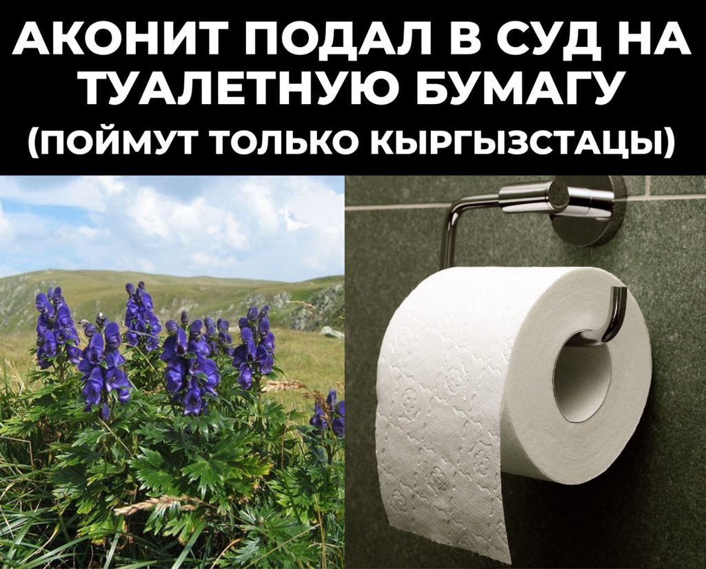 Цирк продолжается