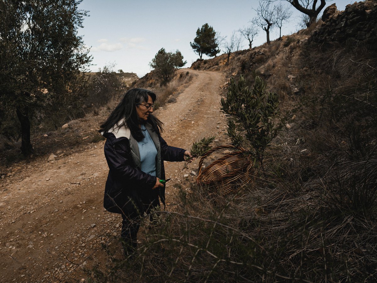 "La Canasta", donde el mimbre cobra vida en las manos de María Dolores, creando cestos y canastas que decoran hogares en Sot de Chera, el pueblo de origen de la chef Begoña Rodrigo. 

📸 Fotos tomadas con el Xiaomi 14 Ultra by Javier Corso (IG)

➡️ bit.ly/3TEunxU