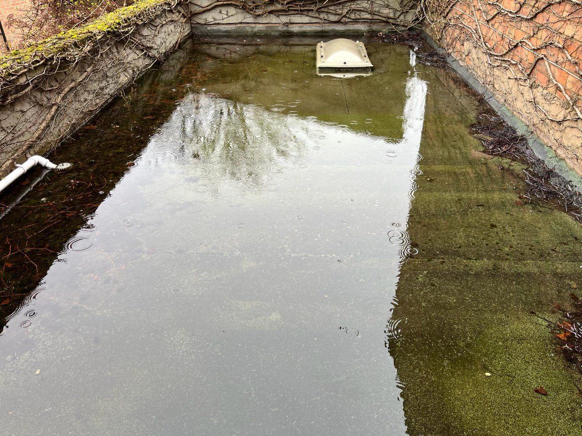 Seems like everyone is posting nice holiday photos this Easter……so here’s a nice roof top “swimming pool” #surveyinglife #flatroofproblems #toocoldforaswim