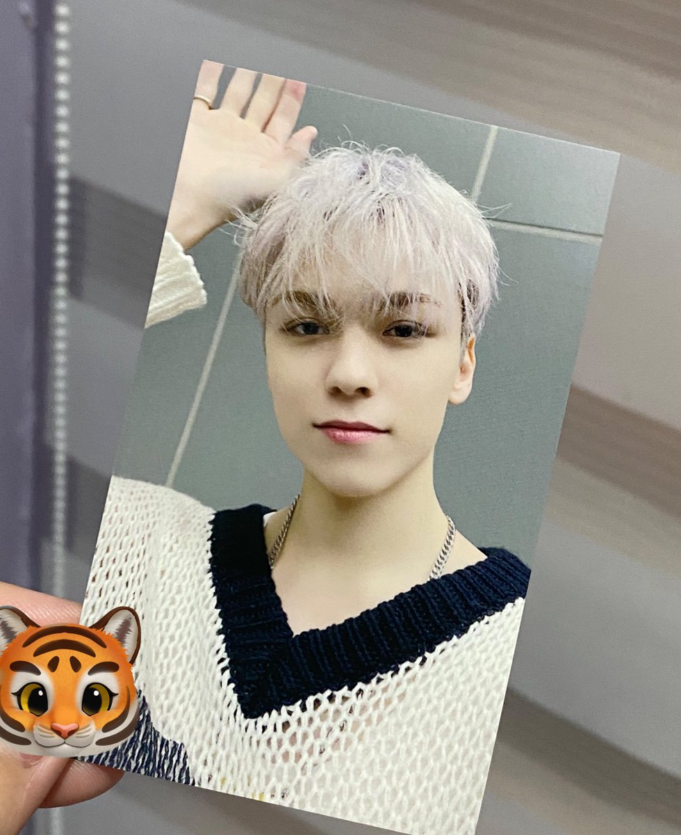 wts lfb ph | seventeen | #tigercartsells

vernon fml tokyo ums photocard — ₱180

✦ onhand &amp; ready to ship
✦ payo &lt; ggx / sdd &gt;

✿ reply "mine" to claim!

# scoups jeonghan joshua jun hoshi wonwoo woozi dk the8 mingyu seungkwan dino pc