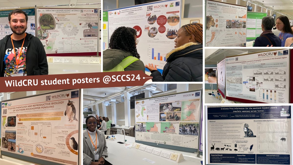 WildCRU Postgraduate Diploma students presented a great array of work at the #Cambridge Student Conference on #Conservation #Science yesterday. From penguin reproductive biology to carnivore co-existence, leopard genetics to clouded leopard prey information and much more! #SCCS24