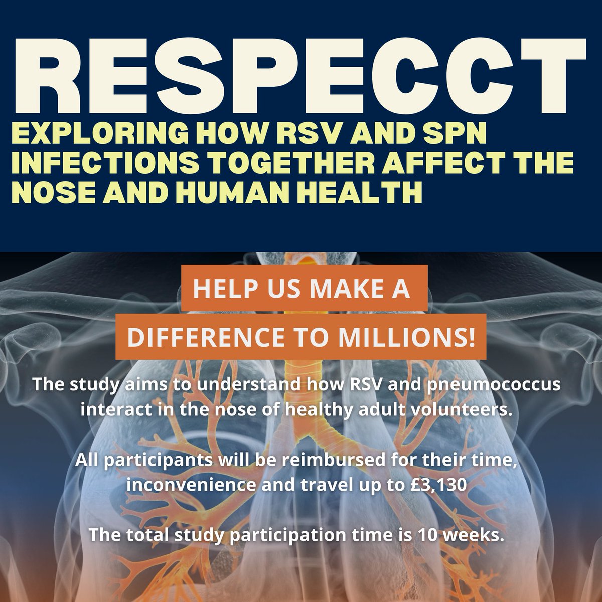 Help improve understanding of immune responses to respiratory germs. Take part in a study to improve knowledge of how respiratory germs alter the nose environment and impact human health. You could be helping to develop future vaccines. 🔗trials.ovg.ox.ac.uk/trials/respecct