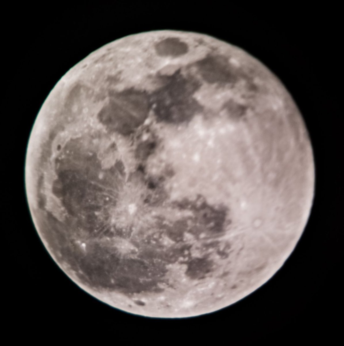 smartphone_astr's tweet image. By @astronomer_g15 🏙 #Moonshot
📱#Mi10T 
📷 Stock Pro
⚙ 10 L (1/200 s, ISO 100) stacked: #EagleImageStacker
🔭 #Celestron AstroMaster 114 Eq Ref with #Svbony 20mm (68° UW) 50×
🎨 LR Mobile &amp;amp; Mi Editor 
📆 25 03 2024
📌 Abbottabad, #Pakistan - #smartphone_astrophotography #luna