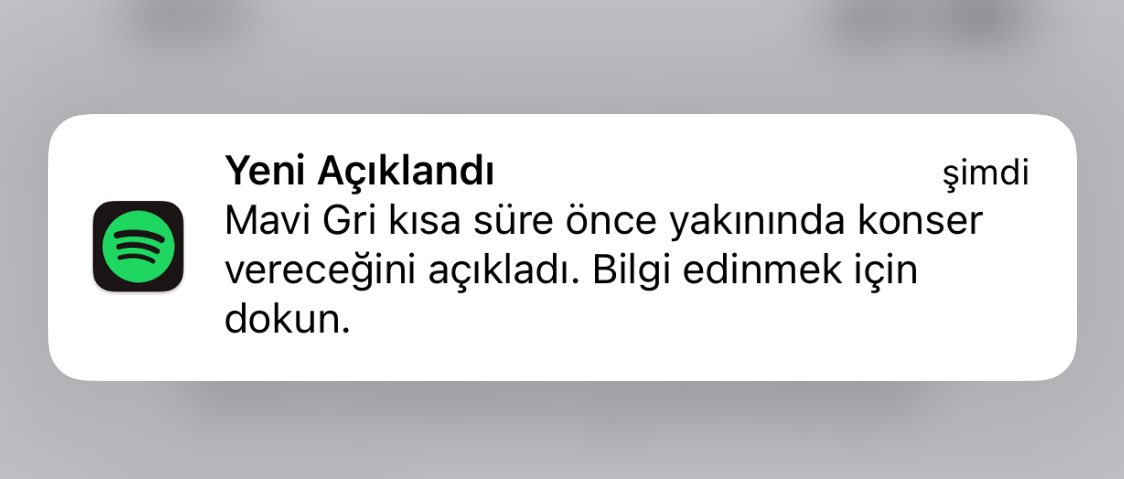 hmm giderim belki