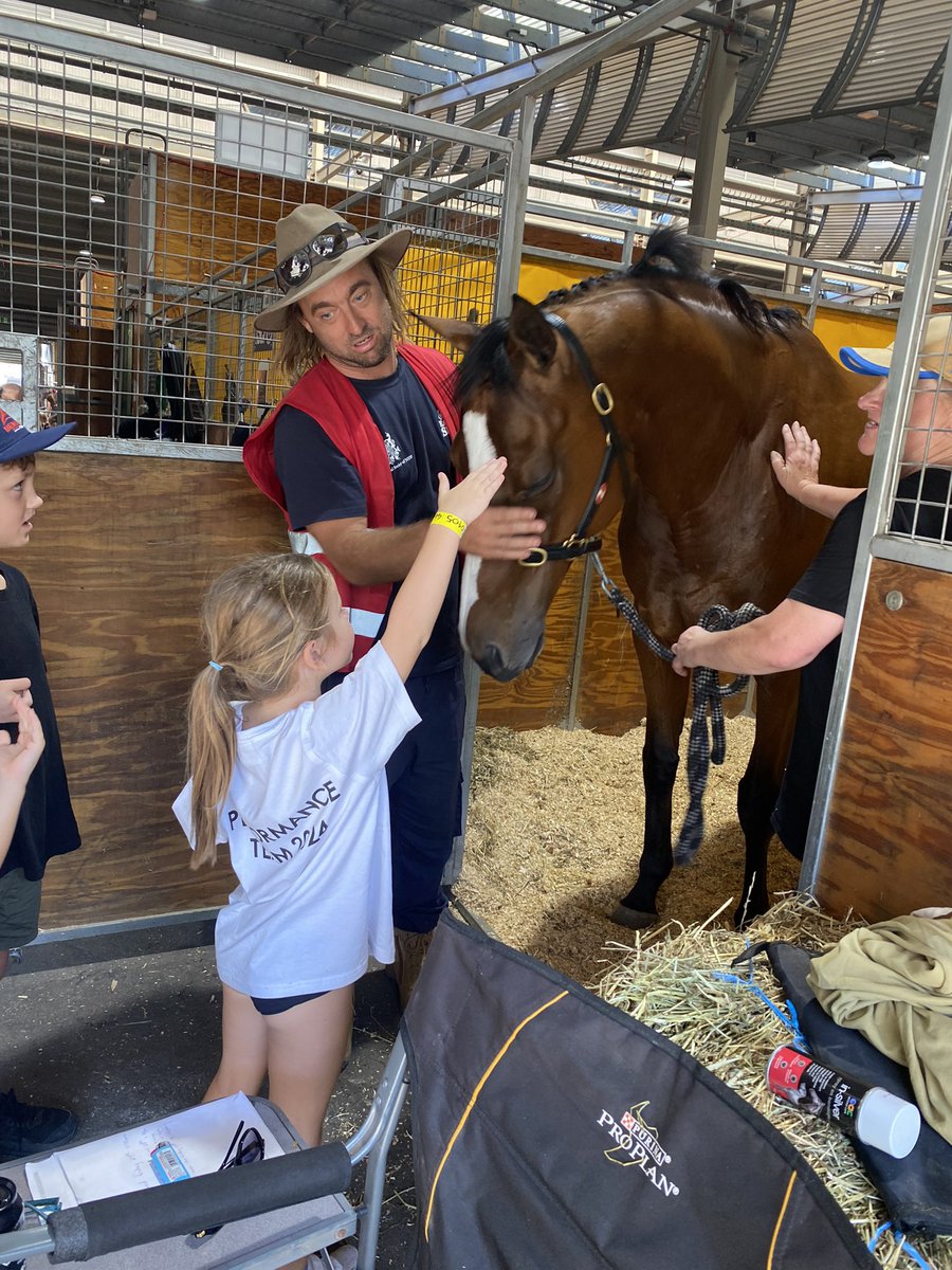 The people’s horse at Sydney Royal 💙💙