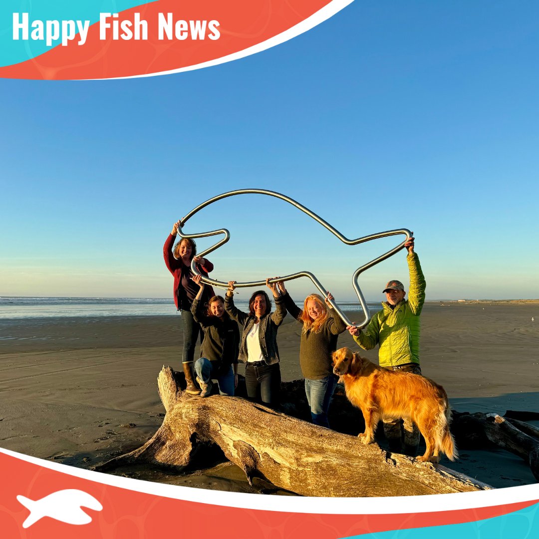 📍#HappyFish migrated to the Pacific Ocean! In November 2023, the Happy Fish migrated from the Washington State rivers to the Pacific Ocean with the help of Coast Salmon Foundation.