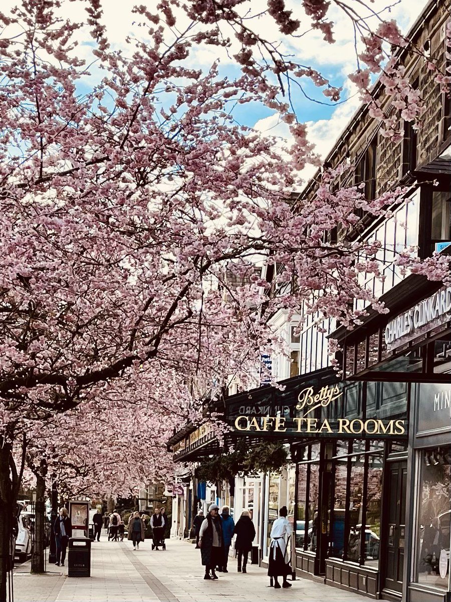 A little reminder that we're open throughout the Easter weekend, including Easter Sunday! Do pop in and see us for a café visit or some last minute supplies from our shops. View all our branch opening hours: bettys.co.uk/cafe-tea-rooms 📷 by @kathjos