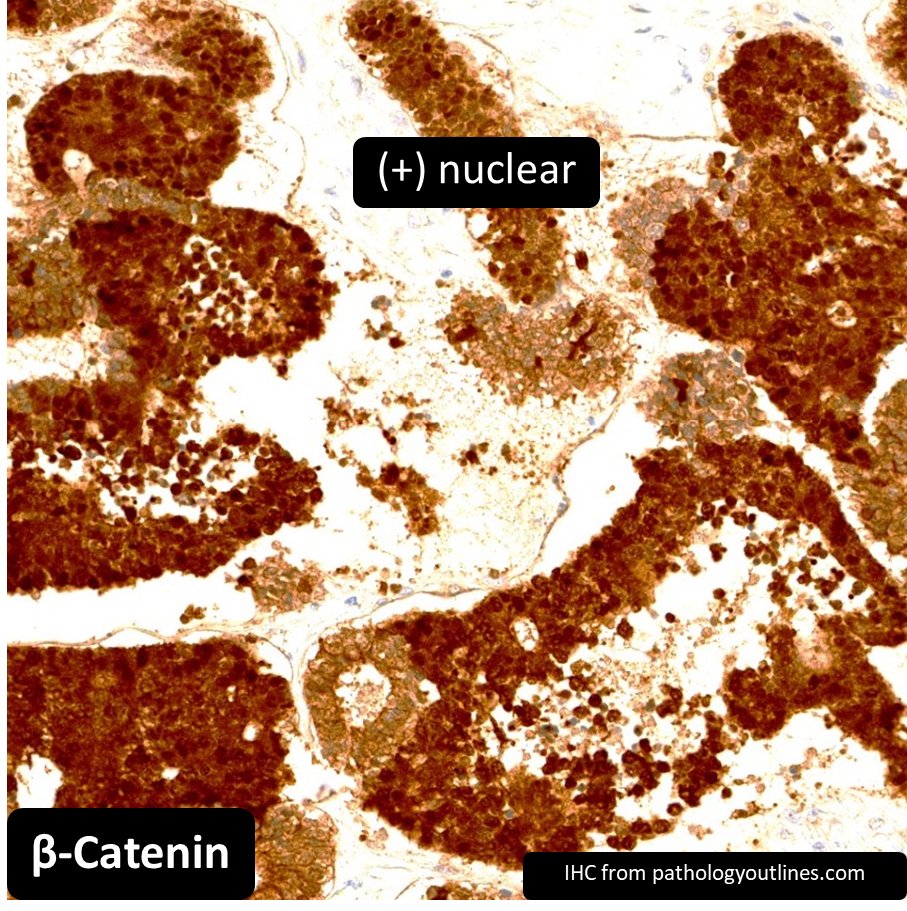 DrCycloPath tweet picture