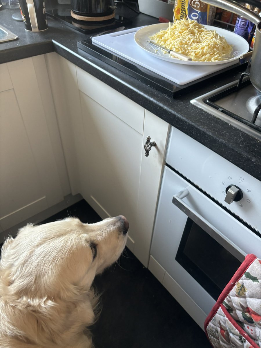 Really, really hope that plate of grated cheese doesn’t fall over. I mean I’d have no choice but to clean it up cos I’m a big recycler you see ♻️