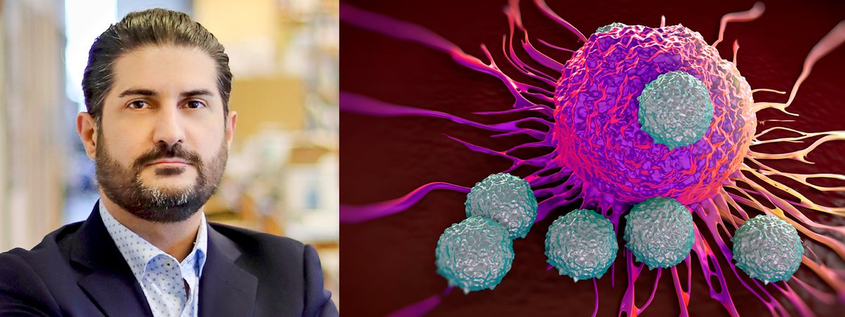 Stöd genom samarbete - Han beviljas prestigefyllt anslag. Läs om toppforskaren👇
ssmf.se/artikel/han-be…