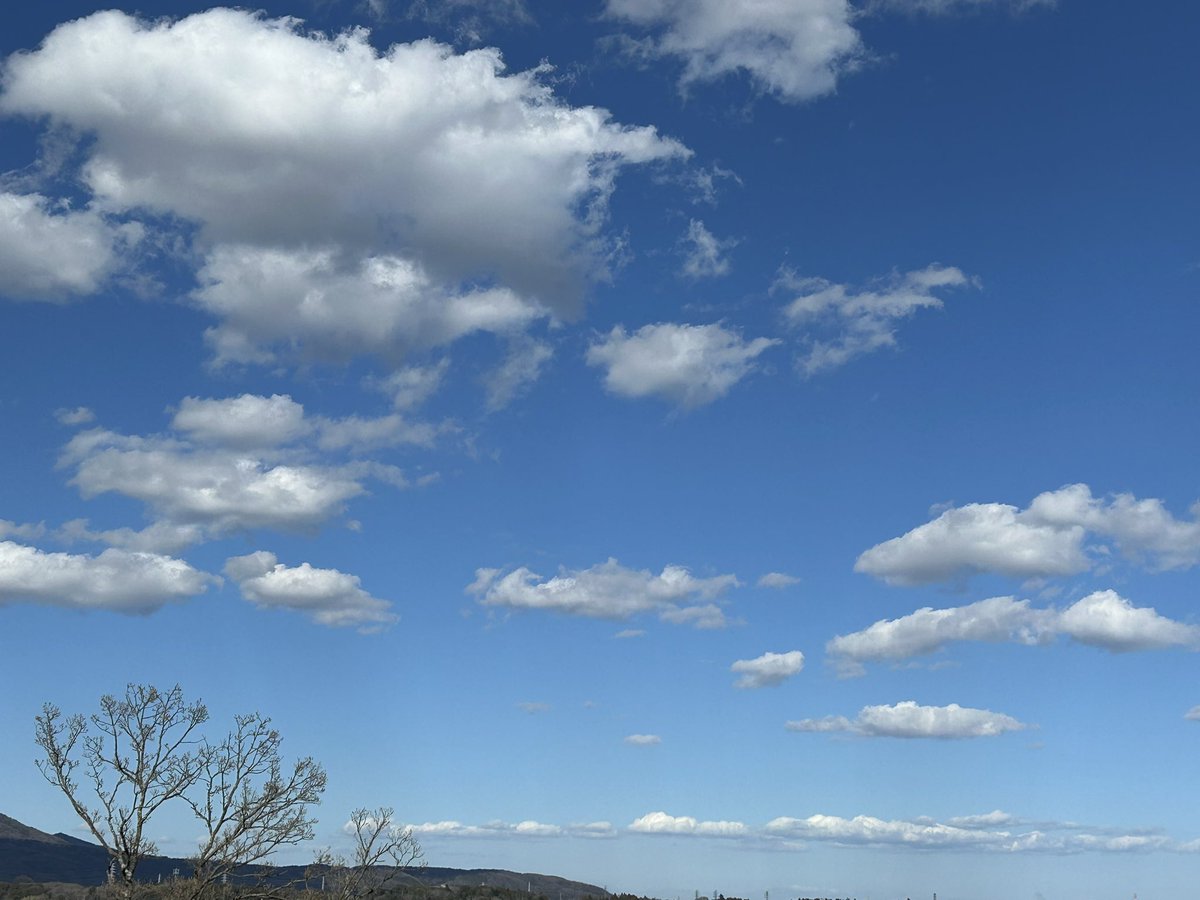 slowslowfood's tweet image. 午後の天空劇場

気象庁的には「晴れ」？

タコがぷかぷか🐙

目視を愛する雲愛者、空に見えるものを記録
Why are my observations important?
#GLOBEObserver
アップデートしよう
GLOBE Clouds is an app-based tool that will help you document what you see in the sky. 
observer.globe.gov/do-globe-obser…