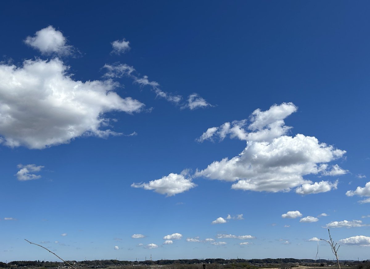 slowslowfood's tweet image. 午後の天空劇場

気象庁的には「晴れ」？

タコがぷかぷか🐙

目視を愛する雲愛者、空に見えるものを記録
Why are my observations important?
#GLOBEObserver
アップデートしよう
GLOBE Clouds is an app-based tool that will help you document what you see in the sky. 
observer.globe.gov/do-globe-obser…