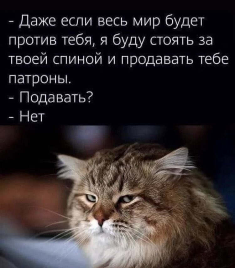 ouchdima's tweet image. Кексон