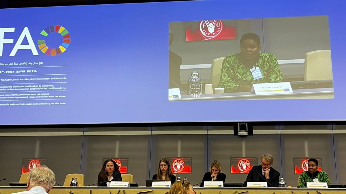 #EAFF President @elizabethnsima attending the #SDGs 2 Expert Group Meeting organized @UNDESA and @FAO #Rome #Italy. #EAFF president was the lead discussant #panel Sustainable Food Production and Resilient Food Systems. @pafo_africa #WFO #EGM-SDG2 #UNDESA #FAO #naacug #SDG2