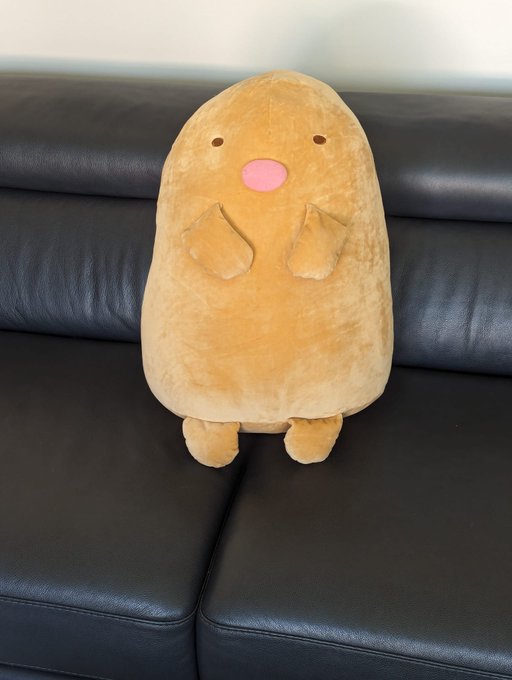 Anybody wanna buy potato? He is 20 inches tall, and invading my space. https://t.co/COmLuxKMX8<a href="/tag/mvsales"class="tags"><span>#mvsales</span></a>