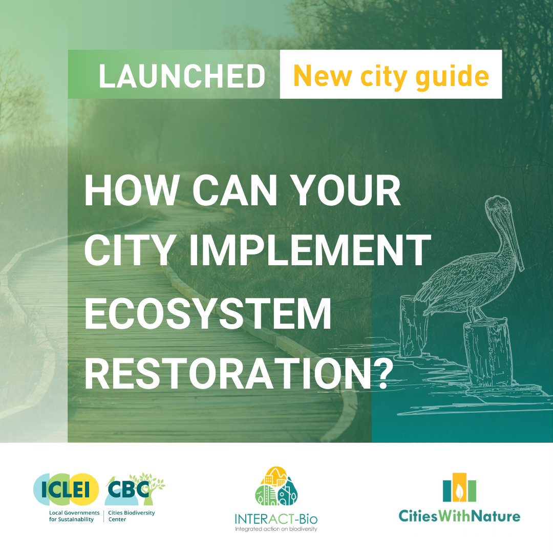 🏙️Cities can play an important role in #ecosystemrestoration 🌱 Learn more about #resilience and #sustainability with the new #CitiesWithNature GUIDE on ecosystem restoration, created by @ICLEICBC & #INTERACTBio: citieswithnature.org/guidelines-for… #GenerationRestoration