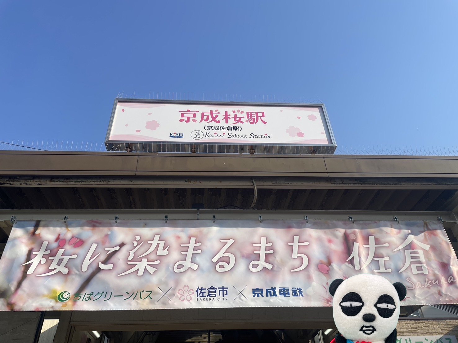 京成パンダ【公式】 on X: 