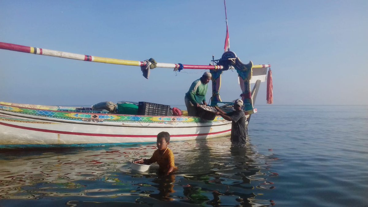 FikiEfendi20's tweet photo. Kamis (27/03/2024), Fiki Efendi, Luhkan Kab Pamekasan, di KUB Al-Barokah desa Batubitang kec batumarmar, melaporkan hasil tangkapan udang rebon 85  kg, harga Rp.30.000/Kg #LuhLapor @bppp_banyuwangi @puslatluhkp #tangkap #GiatLuhkanSatminkalBwi #Pmekasan https://t.co/ZLYzqw4DOm