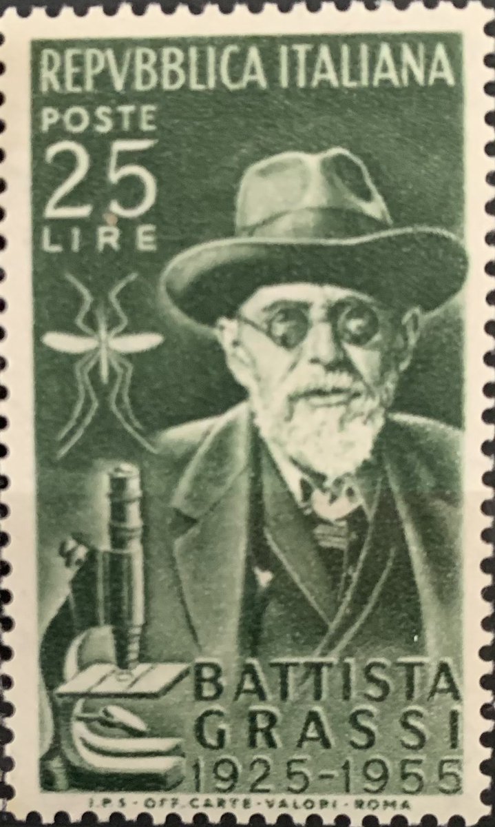 Microscopist Giovanni Battista Grassi was born #OnThisDay #OTD in 1854. He identified the types of malarial parasite as well as the mosquito vector. Excellent applications of #photonics !🔬😉 @RoyalMicroSoc @OpticalSociety @SPIEtweets @IEEEPhotonics