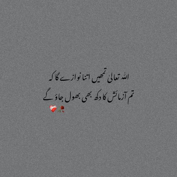 اللہ تعالیٰ تمھیں اتنا نوازے گا کہ ❤️۔        
تم آزمایش کا دکھ بھی بھول جاؤ گے 🥀🤍
#deepword