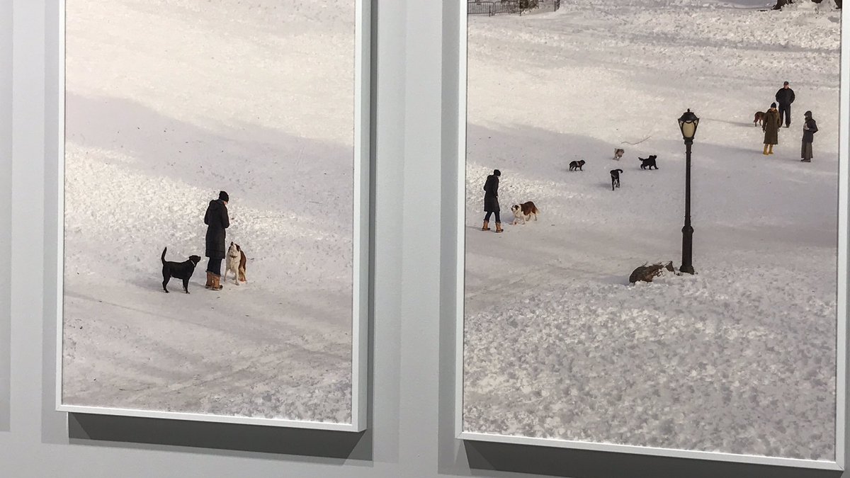 👩🏿‍💻 (@samarkyo) on Twitter photo 