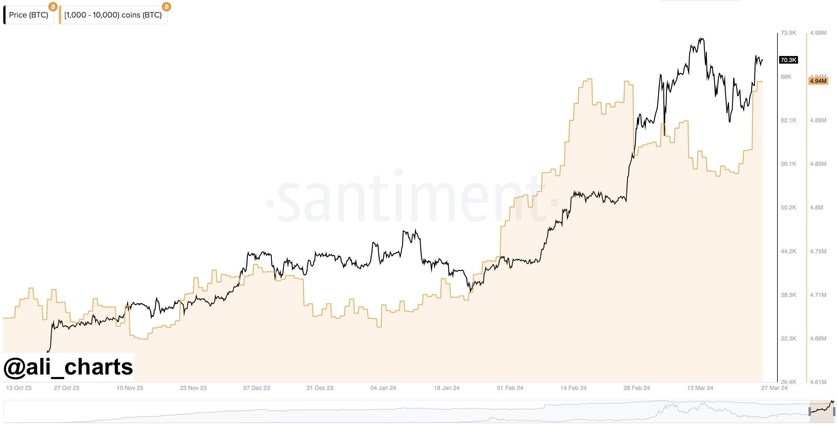 Bitcoin Supply Distribution