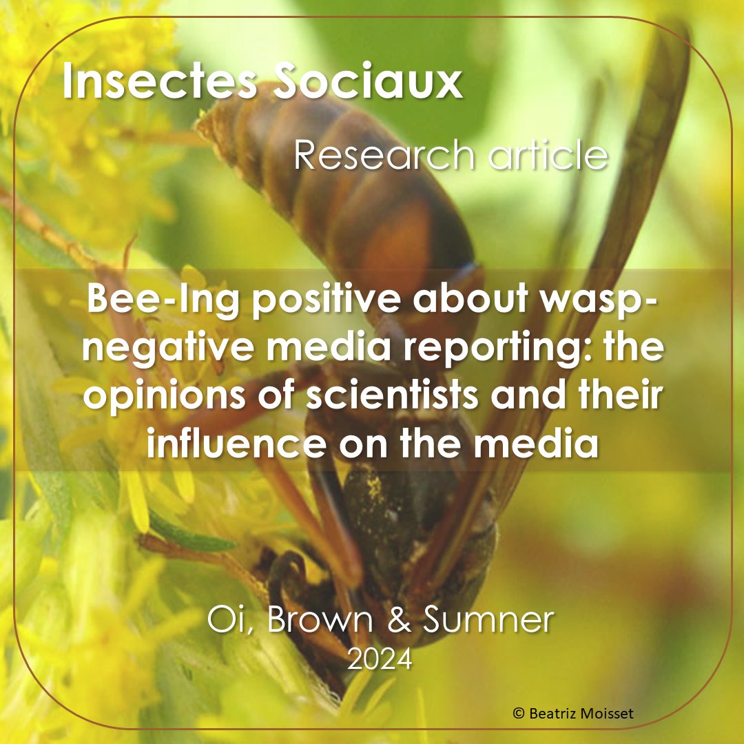 New research article! 📷 @Cin_Oi, @bob3brown, and @WaspWoman discovered that the media has a negative bias towards wasps and a positive bias towards bees.🐝 link.springer.com/article/10.100… #insectessociaux #socialinsects #bees #wasps #conservation